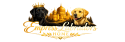 Empress Labradors Home